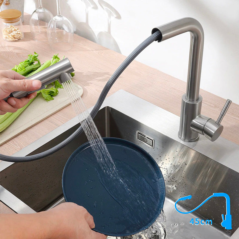 A Kitchen Faucet with a Pull-Down Sprayer Image