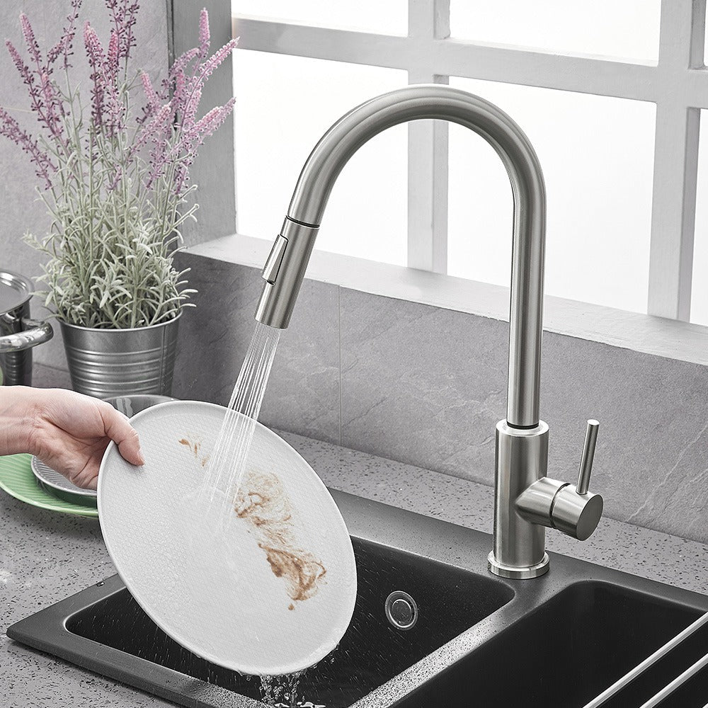 A Kitchen Faucet with a Pull-Down Sprayer Image