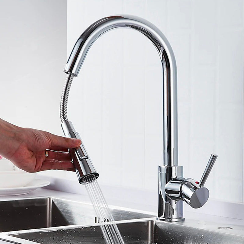 A Kitchen Faucet with a Pull-Down Sprayer Image