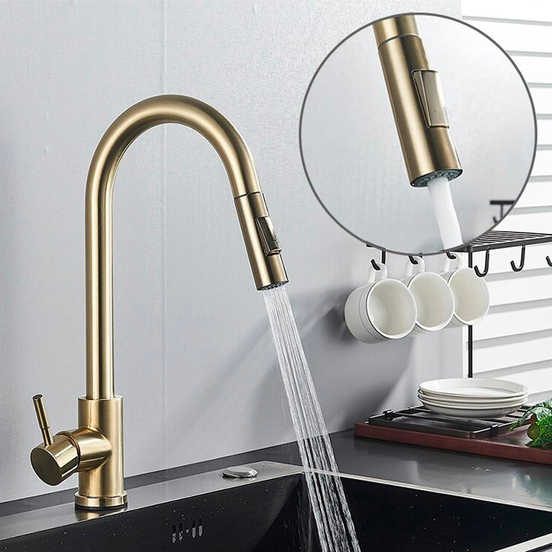 A Gold Gooseneck Kitchen Faucet Image