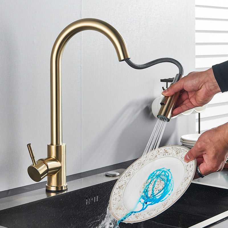 A Kitchen Faucet with a Pull-Down Sprayer Image