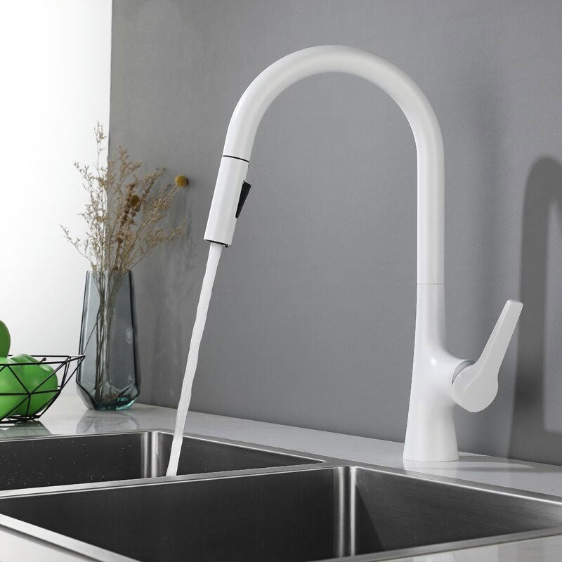 A Kitchen Faucet with a Pull-Down Sprayer Image