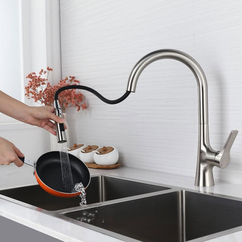 A Gooseneck Kitchen Faucet in a Brushed Finish Image