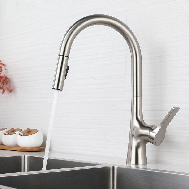A Kitchen Faucet with a Pull-Down Sprayer Image