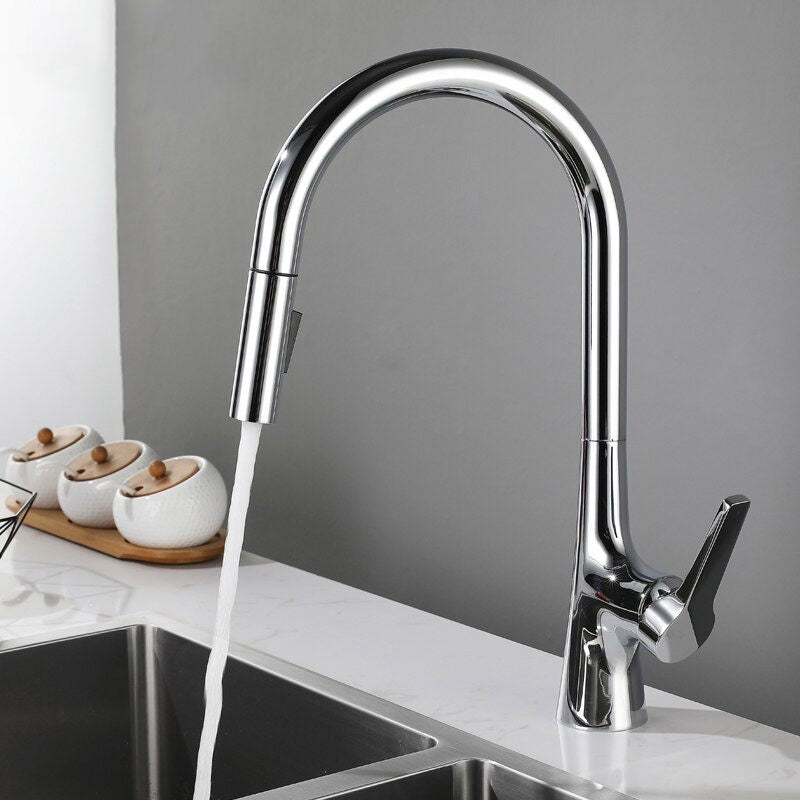 A Kitchen Faucet with a Pull-Down Sprayer Image