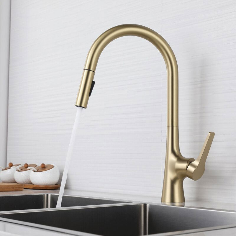 A Kitchen Faucet with a Pull-Down Sprayer Image