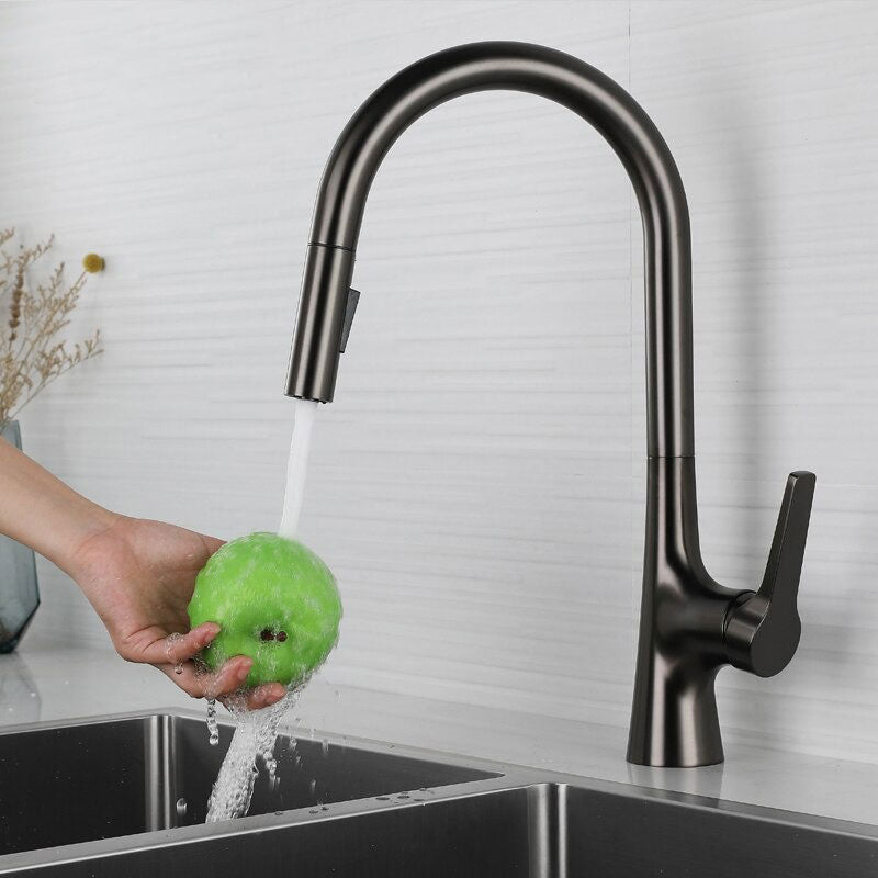 A Kitchen Faucet with a Pull-Down Sprayer Image
