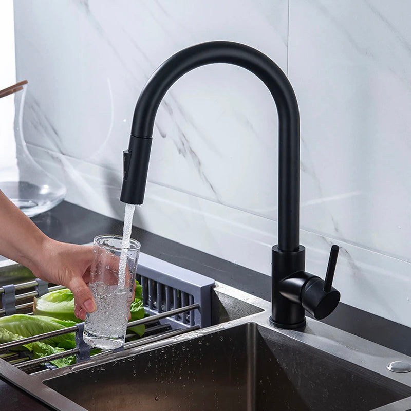 A Black Gooseneck Kitchen Faucet Image