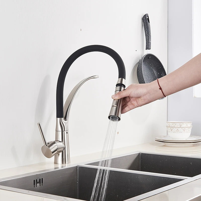 A Kitchen Faucet with a Sprayer Image