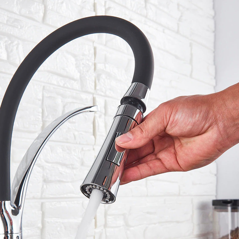 A Kitchen Faucet with a Sprayer Image