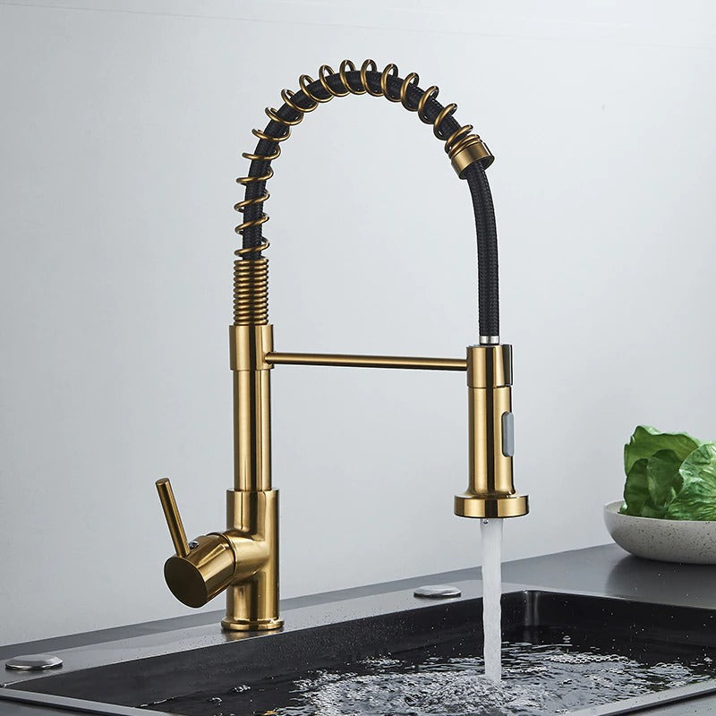 A Premium Gold Kitchen Faucet Image