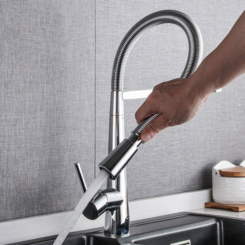A Kitchen Faucet with a Sprayer Image