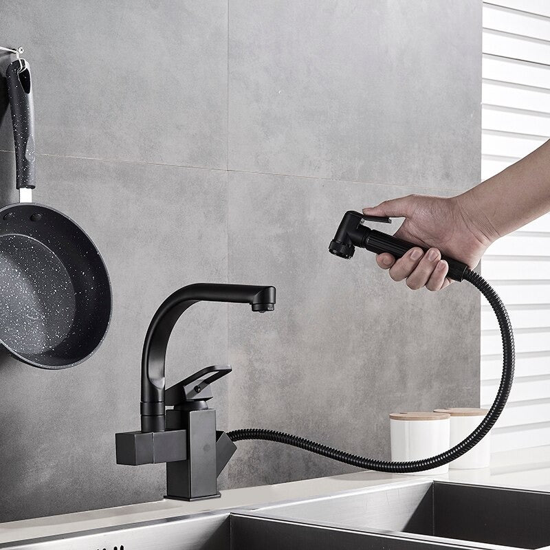 A Kitchen Faucet with a Pull-Down Sprayer Image
