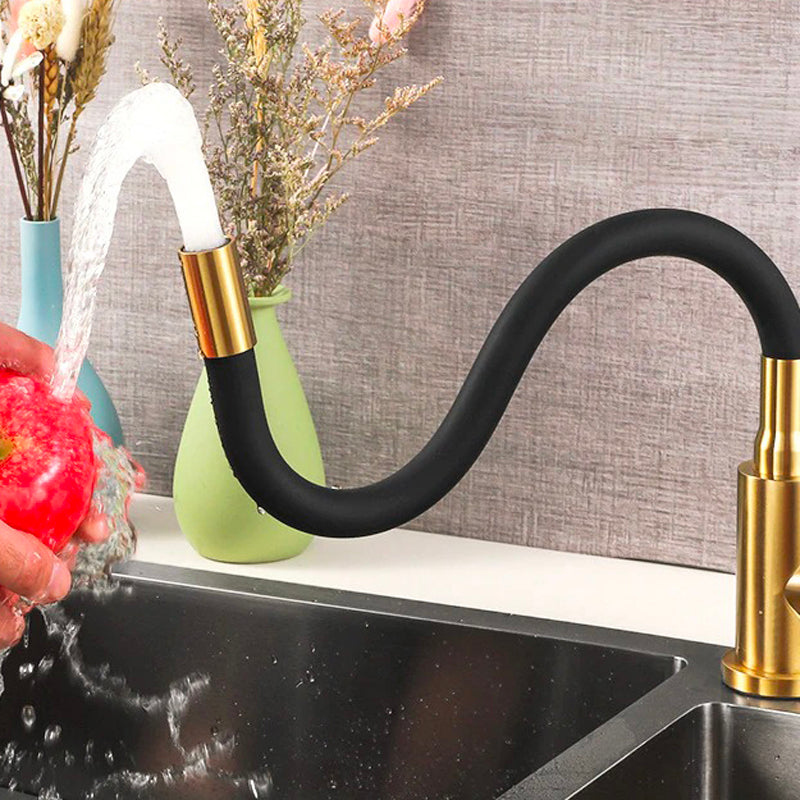 A Gold and Black Kitchen Faucet Image