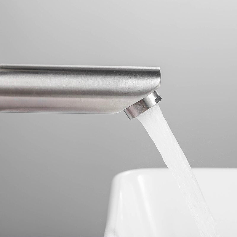 A Bathroom Sink Faucet in Brushed Steel Image