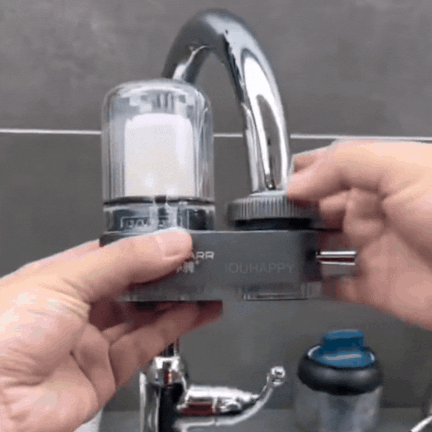 Modern Dual Spray Faucet Filter with Clear Housing Image
