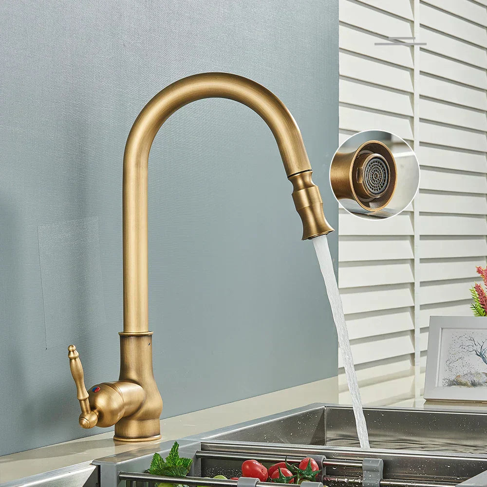 Antique Brass Gooseneck Kitchen Faucet Pull-Down Image