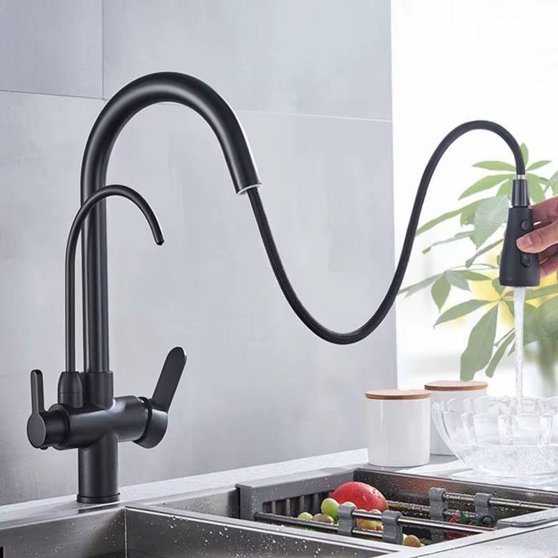 Matte Black Pull-Down Kitchen Faucet with Filter Image