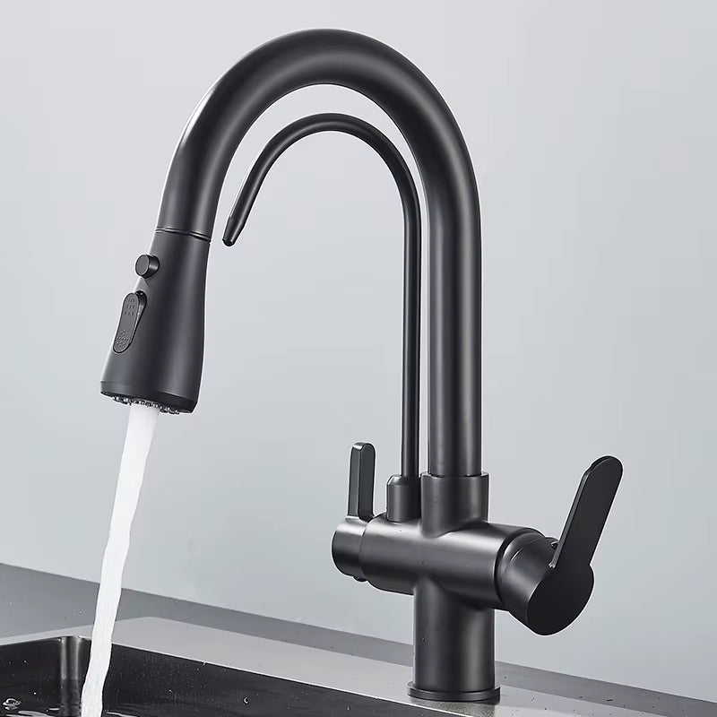 Matte Black Pull-Down Kitchen Faucet with Filter Image