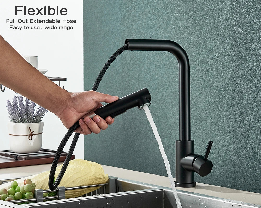Modern Matte Black Kitchen Faucet with Pull-Out Spray Image