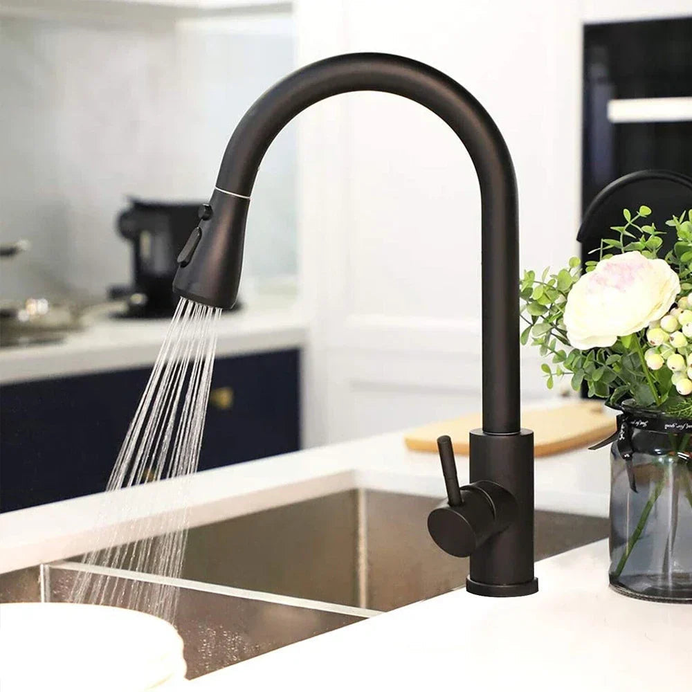 Matte Black Gooseneck Pull-Down Kitchen Faucet Image